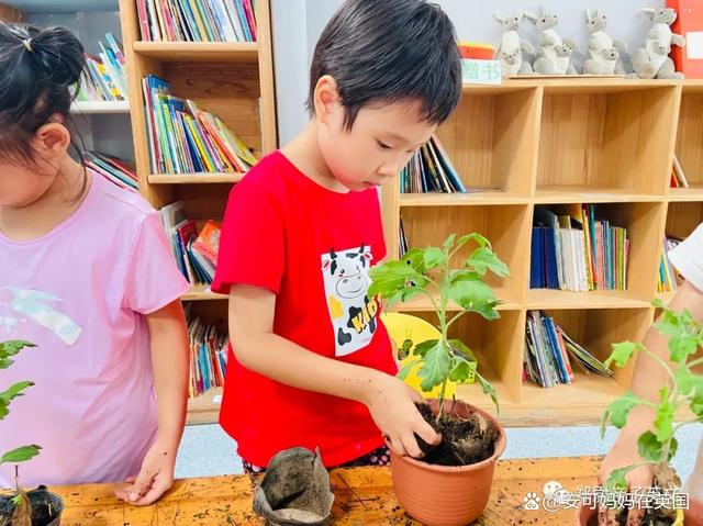 不上培训班,5岁女孩流利自主阅读RAZI级别!这样带娃英语启蒙~插图(3)